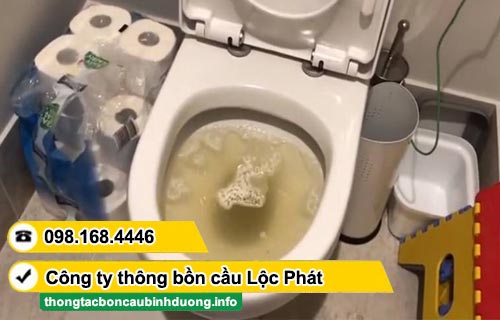 Dịch vụ thông bồn cầu Phường Tân Đông Hiệp