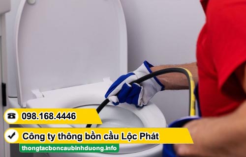 Dịch vụ thông bồn cầu Phường Tân Đông Hiệp