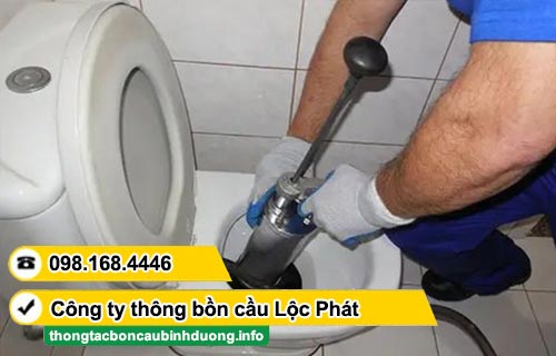 Thông tắc bồn cầu Xã Long Hòa